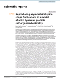 Cover page: Reproducing asymmetrical spine shape fluctuations in a model of actin dynamics predicts self-organized criticality