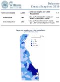 Cover page of Delaware Census Snapshot 2010