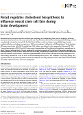 Cover page: Piezo1 regulates cholesterol biosynthesis to influence neural stem cell fate during brain development