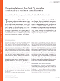 Cover page: Phosphorylation of the Arp2/3 complex is necessary to nucleate actin filaments