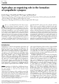 Cover page: Agrin plays an organizing role in the formation of sympathetic synapses
