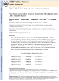 Cover page: Functional conservation between mammalian MGRN1 and plant LOG2 ubiquitin ligases