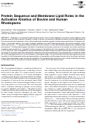 Cover page: Protein Sequence and Membrane Lipid Roles in the Activation Kinetics of Bovine and Human Rhodopsins