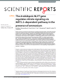 Cover page: The Arabidopsis NLP7 gene regulates nitrate signaling via NRT1.1–dependent pathway in the presence of ammonium