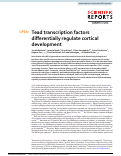 Cover page: Tead transcription factors differentially regulate cortical development