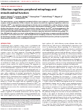 Cover page: Olfaction regulates peripheral mitophagy and mitochondrial function.