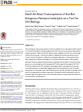 Cover page: Draft De Novo Transcriptome of the Rat Kangaroo Potorous tridactylus as a Tool for Cell Biology