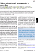 Cover page: Widespread polycistronic gene expression in green algae