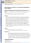 Cover page: BMP signaling is required for cell cleavage in preimplantation-mouse embryos