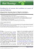 Cover page: Shielding the oil reserves: the scutellum as a source of chemical defenses