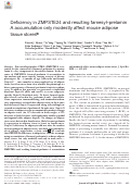 Cover page: Deficiency in ZMPSTE24 and resulting farnesyl–prelamin A accumulation only modestly affect mouse adipose tissue stores[S]