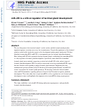 Cover page: miR-205 is a critical regulator of lacrimal gland development.