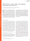 Cover page: KRIT-1/CCM1 is a Rap1 effector that regulates endothelial cell–cell junctions