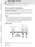 Cover page: Silicon incorporation in polymethine dyes