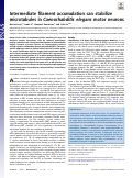 Cover page: Intermediate filament accumulation can stabilize microtubules in Caenorhabditis elegans motor neurons