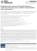 Cover page: Multipotent bone marrow cell-seeded polymeric composites drive long-term, definitive urinary bladder tissue regeneration.