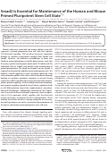 Cover page: Smad2 Is Essential for Maintenance of the Human and Mouse Primed Pluripotent Stem Cell State*