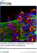 Cover page: Cnidocyte discharge is regulated by light and opsin-mediated phototransduction