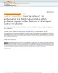 Cover page: Author Correction: Synergy between the anthocyanin and RDR6/SGS3/DCL4 siRNA pathways expose hidden features of Arabidopsis carbon metabolism.