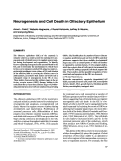 Cover page: Neurogenesis and cell death in olfactory epithelium