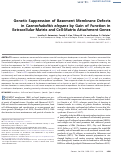 Cover page: Genetic Suppression of Basement Membrane Defects in Caenorhabditis elegans by Gain of Function in Extracellular Matrix and Cell-Matrix Attachment Genes