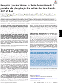 Cover page: Receptor tyrosine kinases activate heterotrimeric G proteins via phosphorylation within the interdomain cleft of Gαi