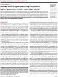 Cover page: Was the moon magnetized by impact plasmas?