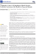 Cover page: Comparative Cancer Cell Signaling in Muscle-Invasive Urothelial Carcinoma of the Bladder in Dogs and Humans