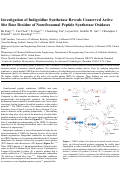 Cover page: Investigation of Indigoidine Synthetase Reveals a Conserved Active-Site Base Residue of Nonribosomal Peptide Synthetase Oxidases