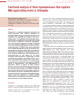 Cover page: Functional analysis of three topoisomerases that regulate DNA supercoiling levels in Chlamydia