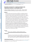 Cover page: Bystander mechanism for complement-initiated early oligodendrocyte injury in neuromyelitis optica