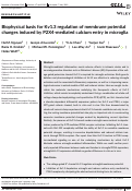 Cover page: Biophysical basis for Kv1.3 regulation of membrane potential changes induced by P2X4-mediated calcium entry in microglia.