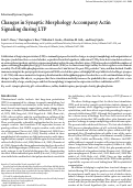 Cover page: Changes in synaptic morphology accompany actin signaling during LTP.