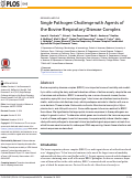 Cover page: Single Pathogen Challenge with Agents of the Bovine Respiratory Disease Complex