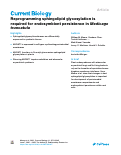 Cover page: Reprogramming sphingolipid glycosylation is required for endosymbiont persistence in Medicago truncatula