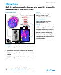 Cover page: Soft X-ray tomography to map and quantify organelle interactions at the mesoscale