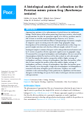 Cover page: A histological analysis of coloration in the Peruvian mimic poison frog (Ranitomeya imitator)