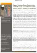 Cover page: Deep Vadose Zone Respiration Contributions to Carbon Dioxide Fluxes from a Semiarid Floodplain