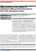 Cover page: High-sensitivity in situ capture of endogenous RNA-protein interactions in fixed cells and primary tissues