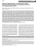 Cover page: Dynamin-related protein 1 is required for normal mitochondrial bioenergetic and synaptic function in CA1 hippocampal neurons