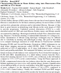 Cover page: Characterizing Fibrosis in Mouse Kidney using Auto Fluorescence Flim and SHG in UUO Model