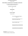 Cover page: Philosophical Dimensions of the Morris Water Maze