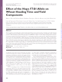 Cover page: Effect of the Hope FT-B1 Allele on Wheat Heading Time and Yield Components