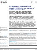 Cover page: Proteome-wide systems genetics identifies UFMylation as a regulator of skeletal muscle function