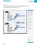 Cover page: Feeding neurons integrate metabolic and reproductive states in mice