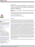 Cover page: Evidence for hybrid breakdown in production of red carotenoids in the marine invertebrate Tigriopus californicus