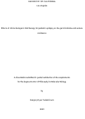 Cover page: Effects of clinical ketogenic diet therapy for pediatric epilepsy on the gut microbiota and seizure resistance