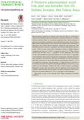 Cover page: A Pleistocene palaeovegetation record from plant wax biomarkers from the Nachukui Formation, West Turkana, Kenya