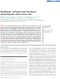 Cover page: DynaMorph: self-supervised learning of morphodynamic states of live cells