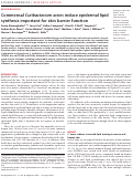 Cover page: Commensal Cutibacterium acnes induce epidermal lipid synthesis important for skin barrier function